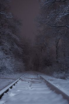 a train track in the middle of a snowy forest