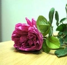 a pink flower sitting on top of a wooden table