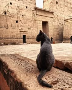 a black cat sitting on top of a stone wall next to an egyptian style building