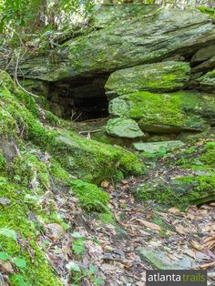 green moss covered rocks in the woods with leaves on the ground and plants growing out of them