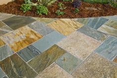 a close up of a stone walkway with plants and flowers in the background on a sunny day