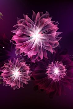 an abstract floral background with pink and purple flowers