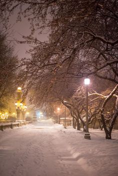 a snow covered park at night with street lights