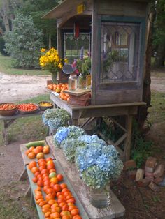 there are many different fruits and vegetables on the table in front of each other, including oranges