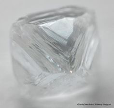 F FLAWLESS RARE WHITE CLEAN 0.64 CARAT ROUGH DIAMOND UNCUT GEM DIAMOND NATURAL ! Get complete range on www.qualitydiam.com #diamond #diamonds #rawdiamond #rawdiamonds #naturaldiamond #naturaldiamonds #roughdiamond #rawdiamonds #uncutdiamond #uncutdiamonds #diamondsupply #diamondsupplier #fashionjewelry #jewelry Raw Diamond Jewelry, Rough Diamond Jewelry, Diamond Mine, Minerals Crystals Rocks, Rough Diamond Ring, Amber Crystal, Gem Diamonds, Traditional Diamond, Diamonds Jewelry