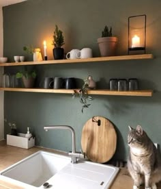 a cat sitting on the counter next to a kitchen sink and shelves with candles in them