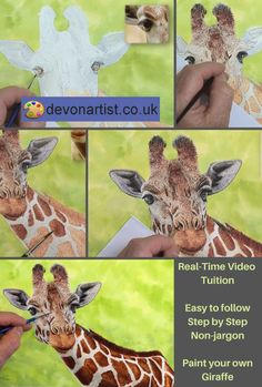 the giraffe is being painted with white paint