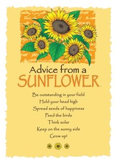 sunflowers with the words advice from a sunflower