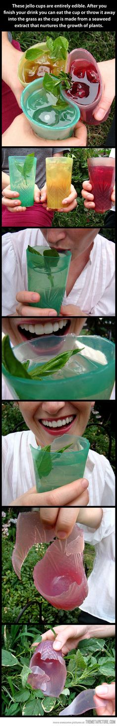 four different pictures of plates with food on them in the same photo, each being held by someone's hand