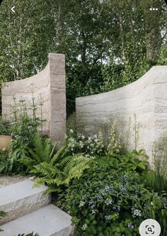 an outdoor garden with stone steps and plants