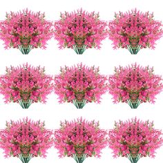 a bunch of pink flowers on a white background