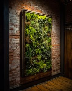 Moss and succulent wall decor, brick wall green plant wall decor, moss frame decor ideas Moss Wall Restaurant, Living Wall Restaurant, Brick Wall Plants Interior, Moss Brick Wall, Brick Wall Plants, Brick Wall With Plants, Salon Esthetics