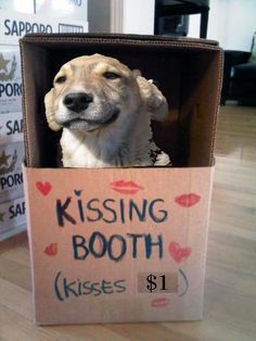 a dog in a cardboard box that says kissing booth kisses $ 1