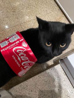 a black cat sitting on top of a counter next to a can of coca cola