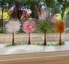 three trees are in a glass box on the window sill