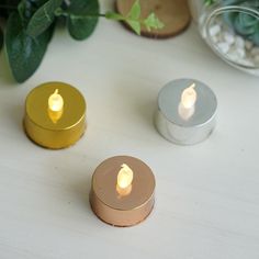 three small candles sitting on top of a white table next to some potted plants