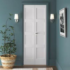 a white door in a blue room with a potted plant on the floor next to it