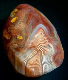 an orange and white piece of rock with yellow flowers on it's side, against a black background