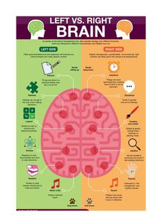 This Digital Prints item by LEVEL19Design has 17 favorites from Etsy shoppers. Ships from United States. Listed on Oct 20, 2024 Left Vs Right Brain, Brain Gym, Medical School Studying