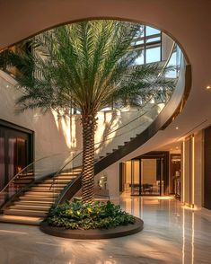 a palm tree in the middle of a room with stairs and glass doors on both sides