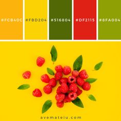 raspberries with green leaves and red berries on yellow background, color swatches