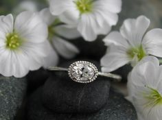 a diamond ring sitting on top of a rock surrounded by white flowers and daisies