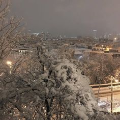 snow covered trees and buildings at night in the distance, with street lights lit up behind them