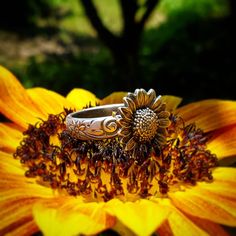 The original sunflower ring on Etsy! If sunflowers, summer, or a bohemian style is your your jam, then this is the ring for you. The flower is 17mm and perfect for sunflower weddings, bridesmaids gifts, birthdays, or a special gift to brighten your own day. They are my most popular ring and sell out quickly. The heavy sterling silver band has a lovely unique floral and spiral pattern. Each one will be slightly different given the nature of pattern and size of ring. After soldering the sunflower Vintage Adjustable Sunflower Design Jewelry, Bohemian Sunflower Jewelry For Gift, Bohemian Sunflower Jewelry As Gift, Bohemian Sunflower Design Jewelry As Gift, Bohemian Adjustable Flower Ring For Anniversary, Bohemian Yellow Round Rings, Bohemian Flower Ring As A Gift, Bohemian Flower Ring For Promise, Bohemian Flower Ring For Wedding