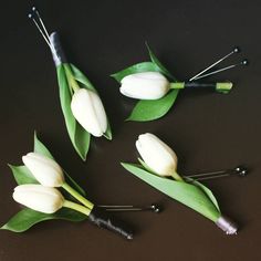 three white tulips and two green leaves on a black surface with pins in them