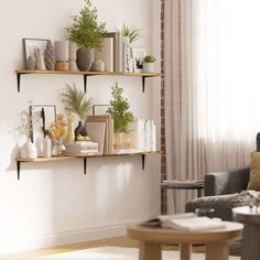 a living room filled with furniture and shelves covered in potted plants on top of them