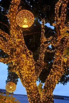 some lights are hanging from a tree in the evening