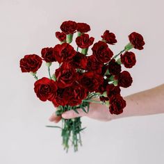 a hand holding a bouquet of red roses