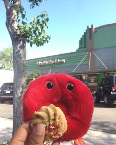 Red Blood Cell and cookies?! Can it get any sweeter? : @stewartsadventures #GIANTmicrobes #redbloodcell #cookies Donate Blood, Medical Facts, Medical History