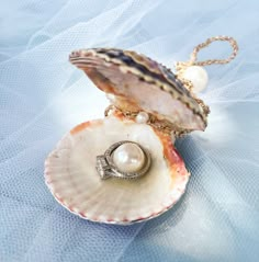 an open shell with a ring on it and a pearl in the middle sitting on a blue surface