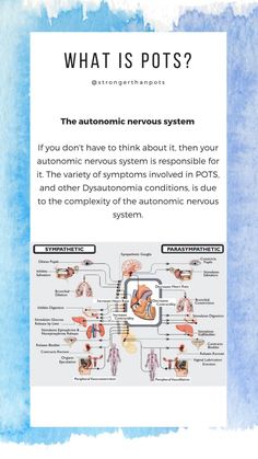 Dysautonomia Symptoms, Autonomic Dysfunction, Scleroderma Awareness, Dysautonomia Awareness, Mast Cell Activation Syndrome, Autonomic Nervous System, Ehlers Danlos