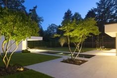 an outdoor area with trees and grass at night time, lit up by lights on the walls