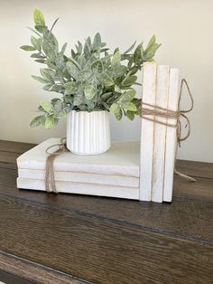 a stack of books sitting on top of a wooden table next to a potted plant