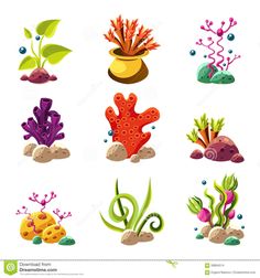 an image of different types of plants and rocks