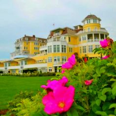 some pink flowers in front of a large yellow and white building with lots of windows