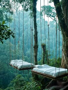 there are two beds suspended in the trees