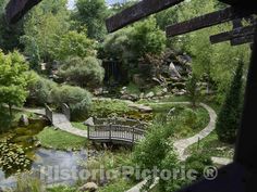 a wooden bridge over a small pond surrounded by greenery