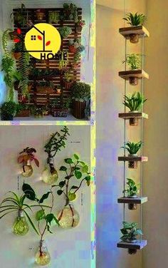 there are three shelves with plants on them