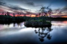 a lake with trees and clouds in the background