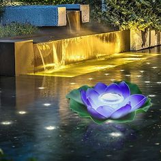 a purple flower sitting in the middle of a pond next to a fountain with lights on it