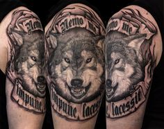 two wolf tattoos on both arms with the words, no one is illegal and innocent