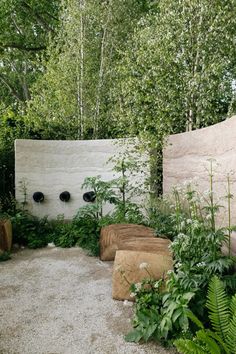 an outdoor area with plants and rocks in the middle, surrounded by tall trees on either side