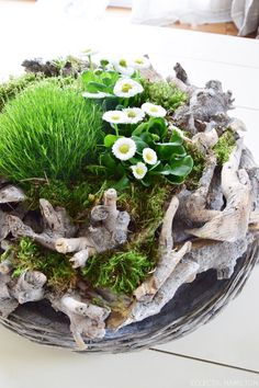 a bowl filled with moss and flowers on top of a table