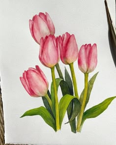 a watercolor painting of pink tulips on white paper