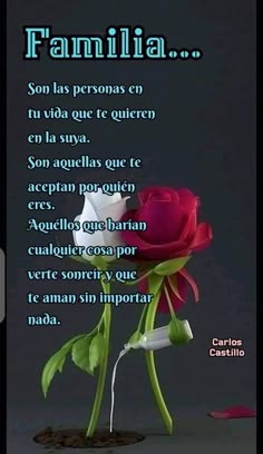 a poem written in spanish with a single rose