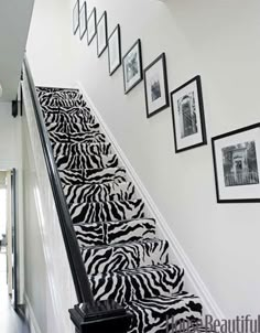 the stairs are decorated with black and white zebra print rugs, framed pictures on the wall